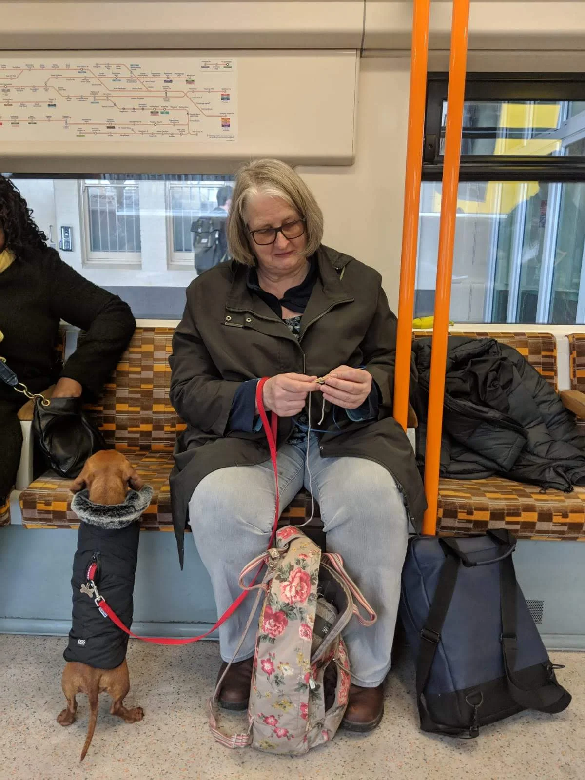  Any treats for me in there? 