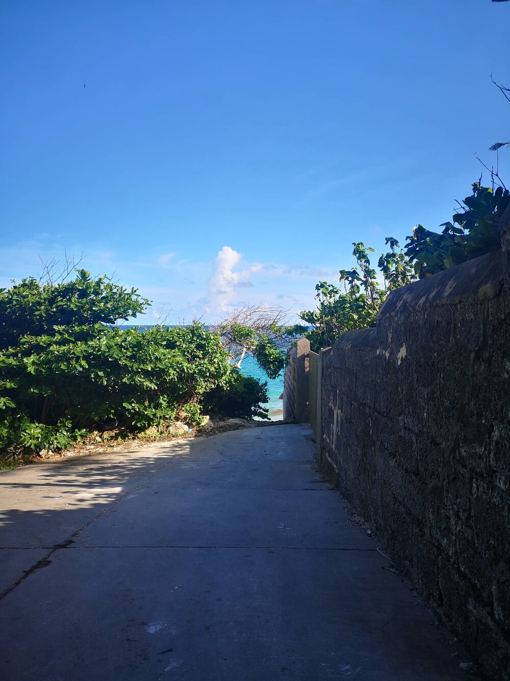 Crane beach, St Phillip