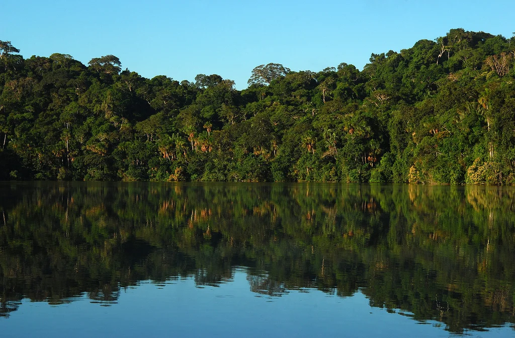 Chalalan Lake, Madidi. Photo by Arthur Ankel