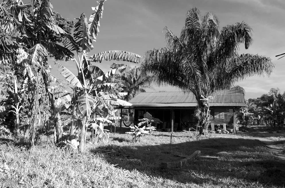 Parque Jacj Cuisi. Photo by Robert Thoren