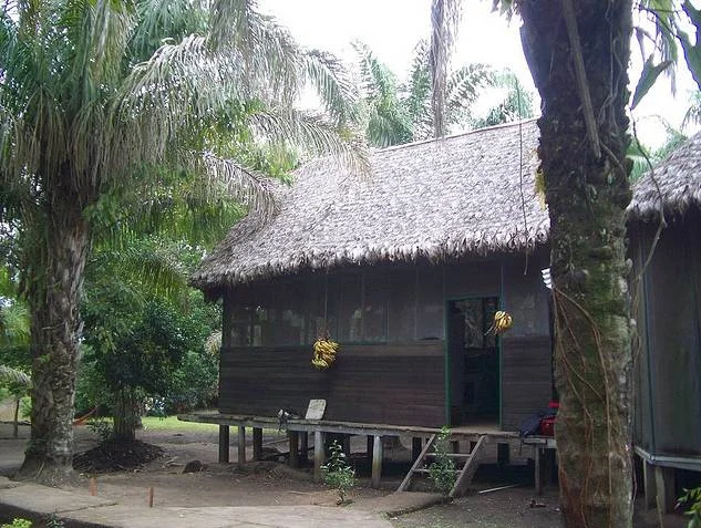 Eco Lodge, Madidi. Photo by Gregor Samsa