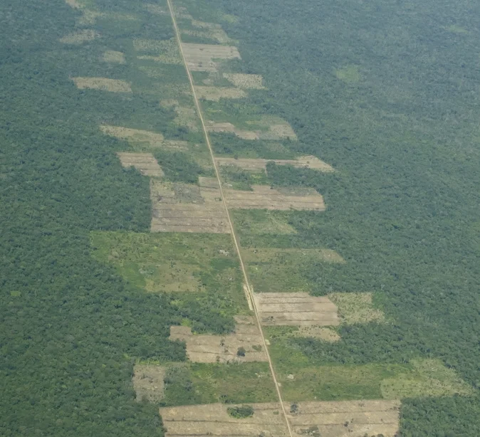 Deforestation starts with roads. Bolivian Amazon. Photo by Paul Jones