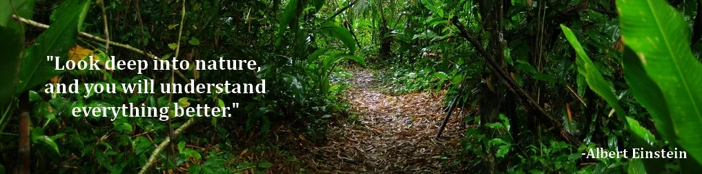 Madidi National Park. Photo by Gregor Samsa