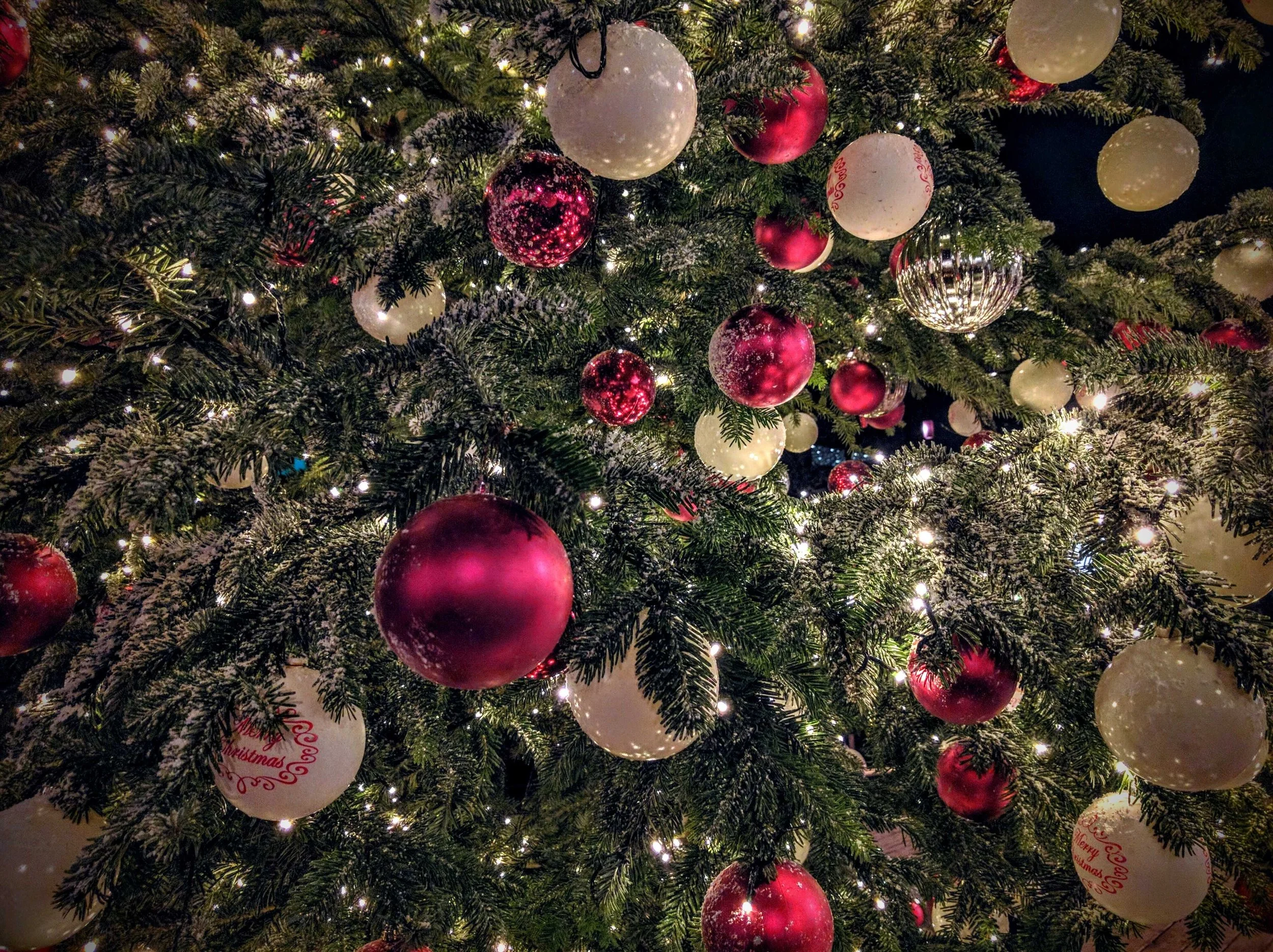 Metro Atlanta Christmas Tree Lightings