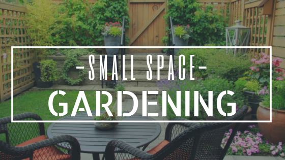 Blog Titles 2018(17).png