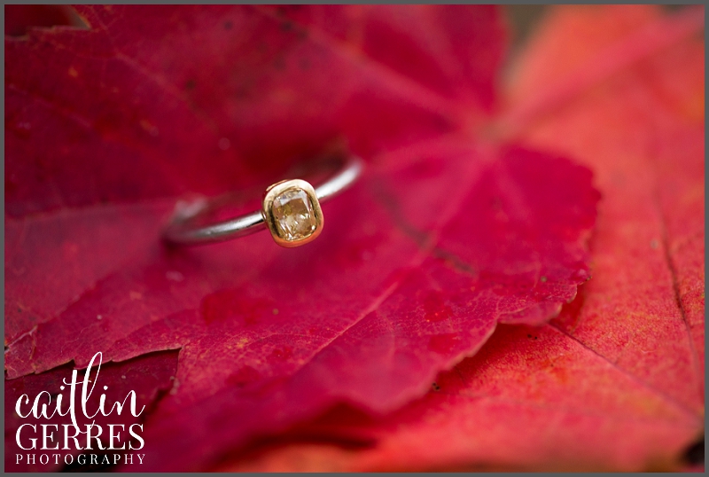 First Landing Park Fall Engagement-134_DSK.jpg