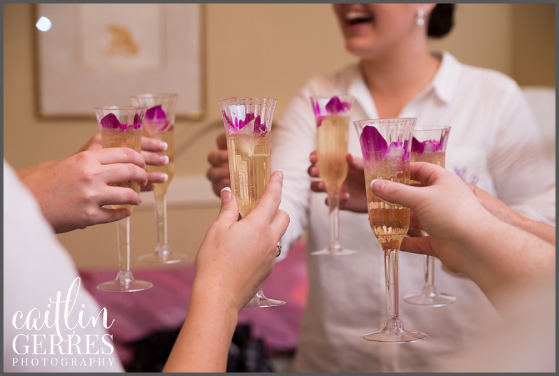 Champagne Wedding Toast-123_DSK.jpg