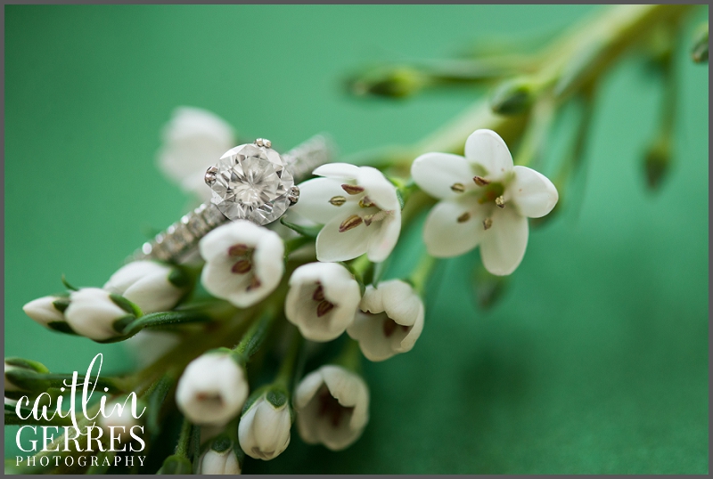 Shamrock Bridal Shower-120a_DSK.jpg