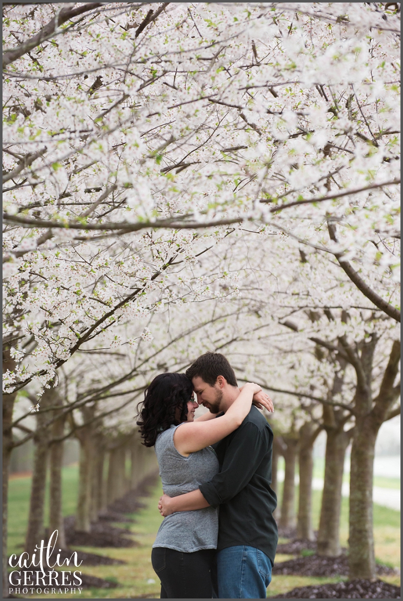 Romantic Cherry Blossom Engagement Session in Virginia Beach-101_DSK.jpg