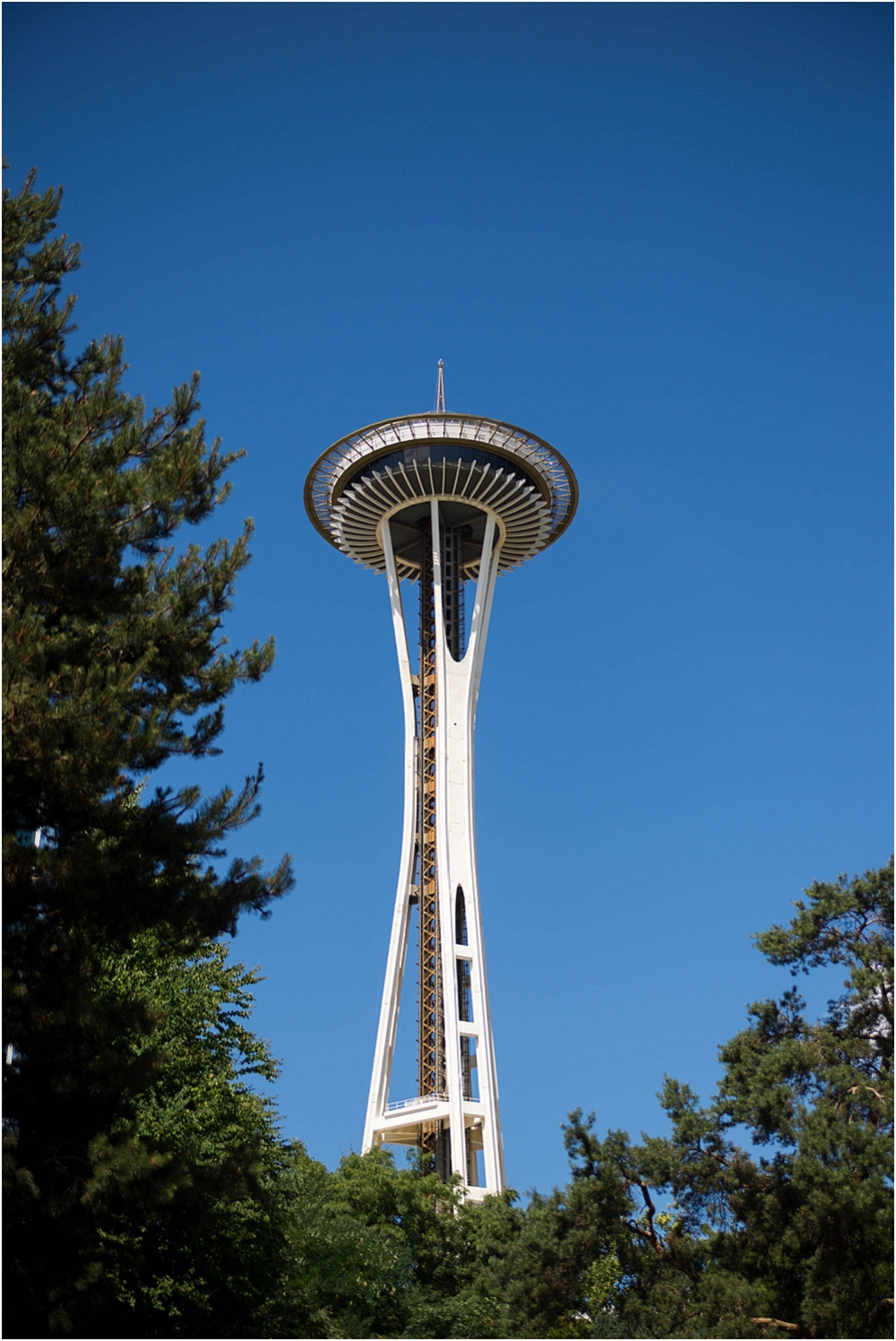 Seattle Vacation-120_WEB.jpg