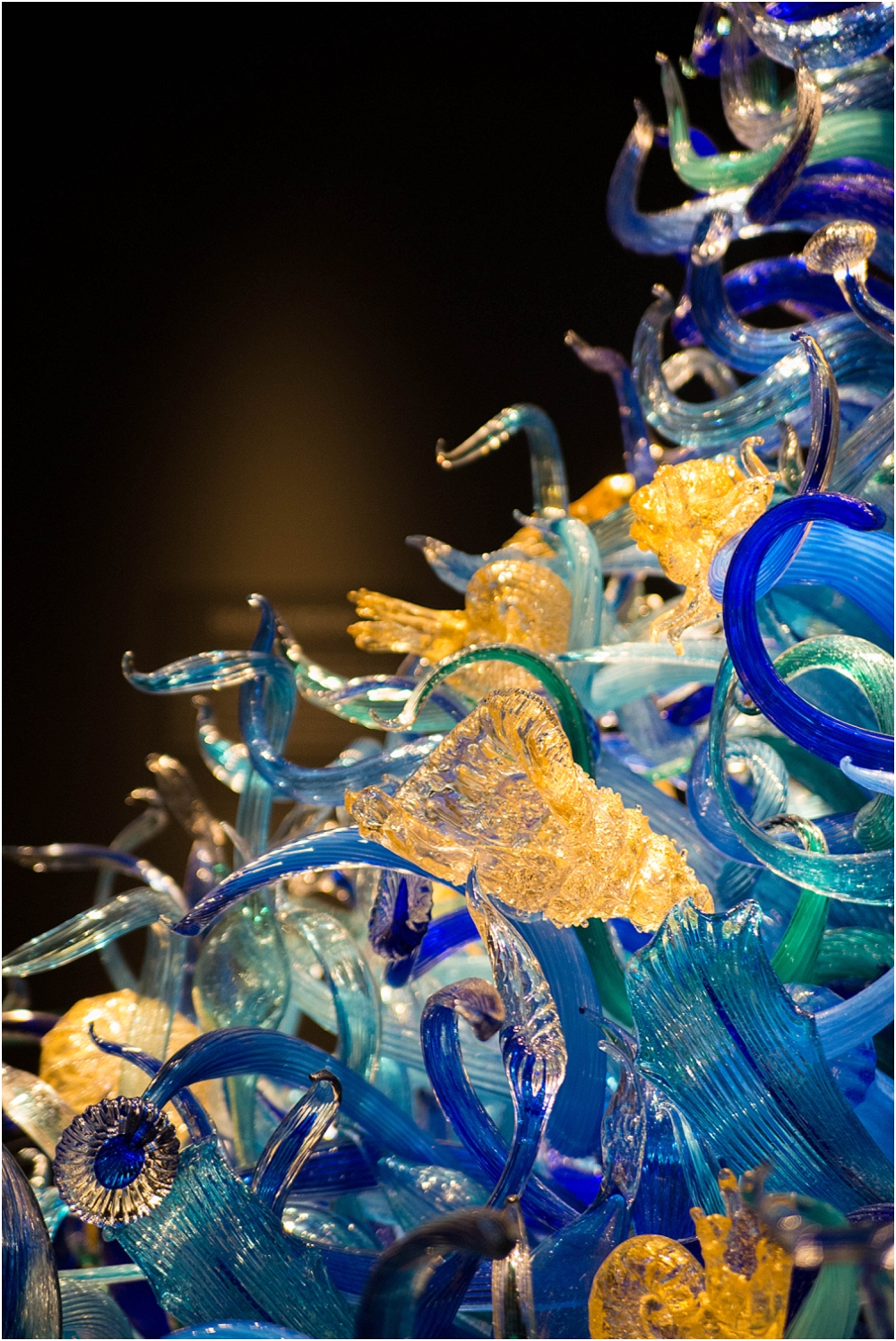 Chihuly Gardens and Glass Seattle-113_WEB.jpg