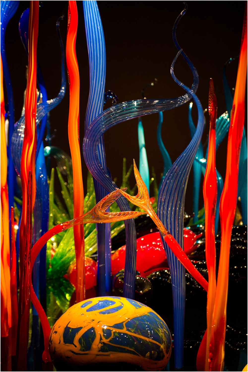Chihuly Gardens and Glass Seattle-122_WEB.jpg