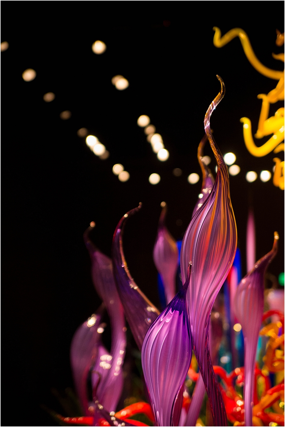 Chihuly Gardens and Glass Seattle-131_WEB.jpg