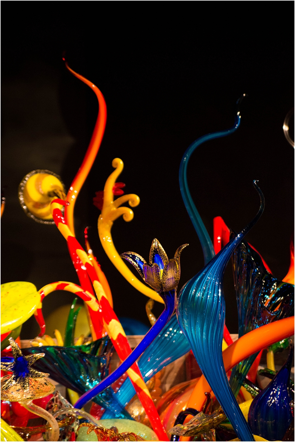 Chihuly Gardens and Glass Seattle-141_WEB.jpg