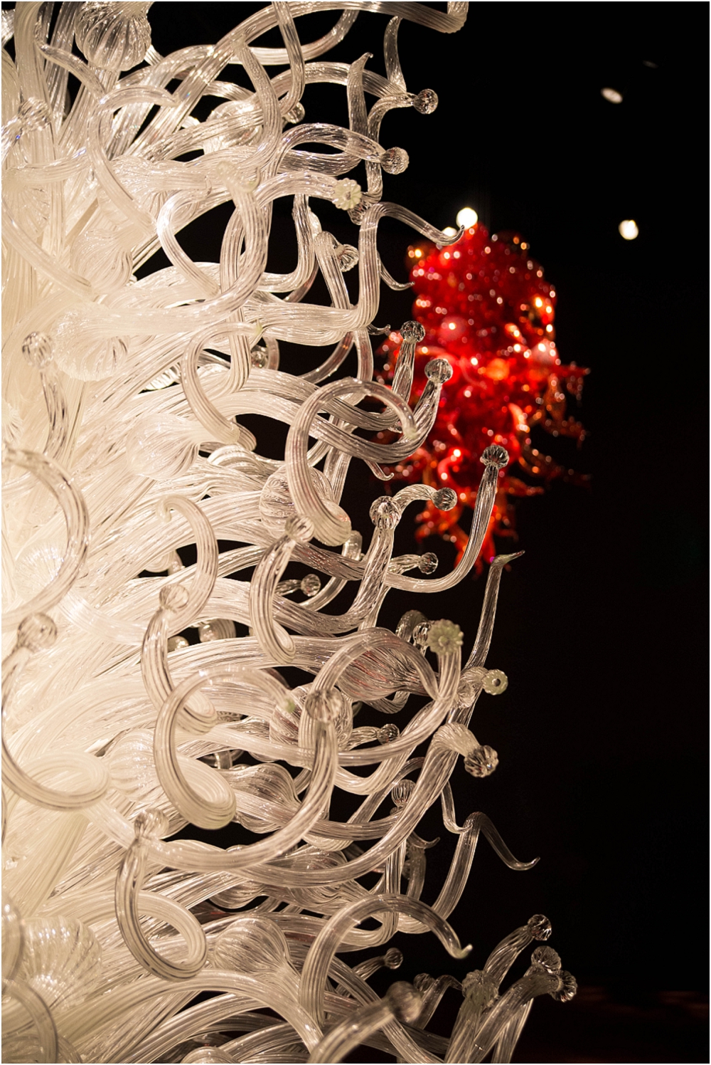 Chihuly Gardens and Glass Seattle-147_WEB.jpg