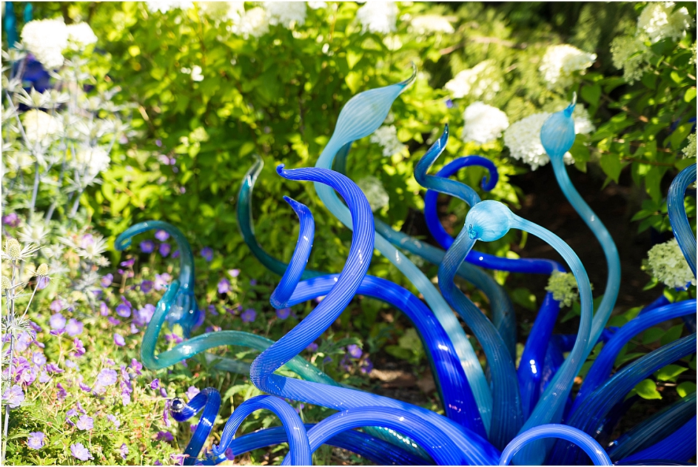 Chihuly Gardens and Glass Seattle-189_WEB.jpg