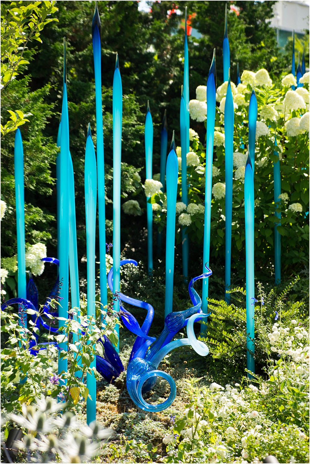 Chihuly Gardens and Glass Seattle-188_WEB.jpg