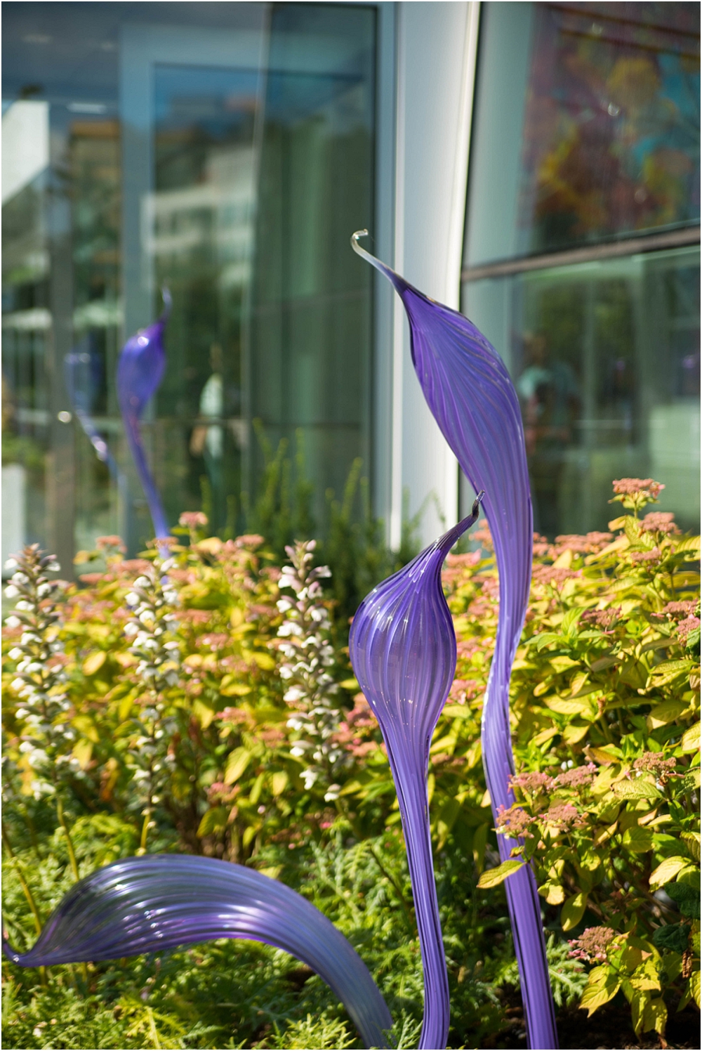 Chihuly Gardens and Glass Seattle-199_WEB.jpg