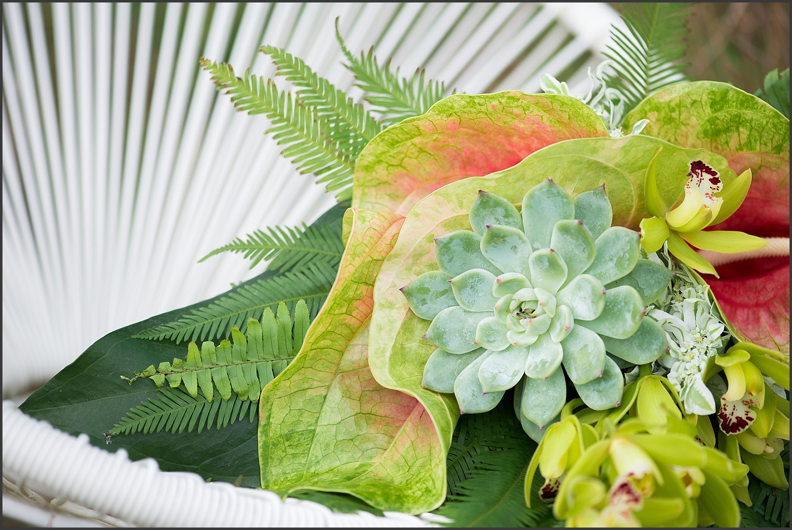 Tropical Styled Shoot-178_WEB.jpg