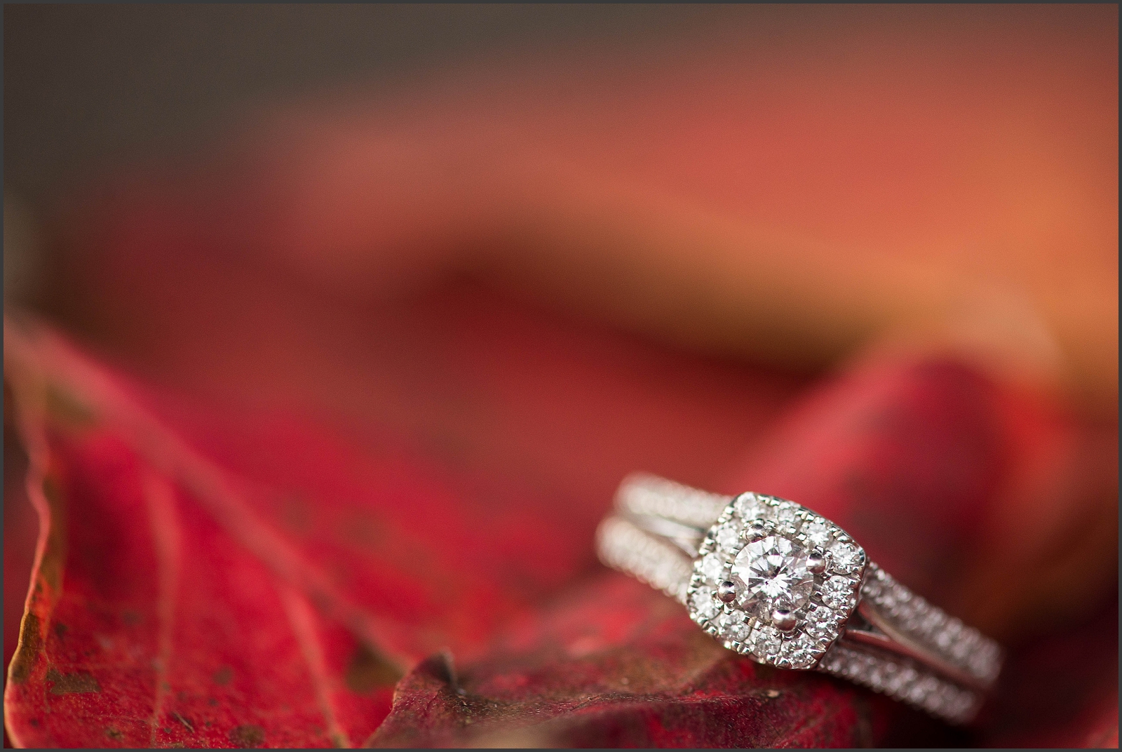 Fall Colonial Williamsburg Engagement Session-127_WEB.jpg