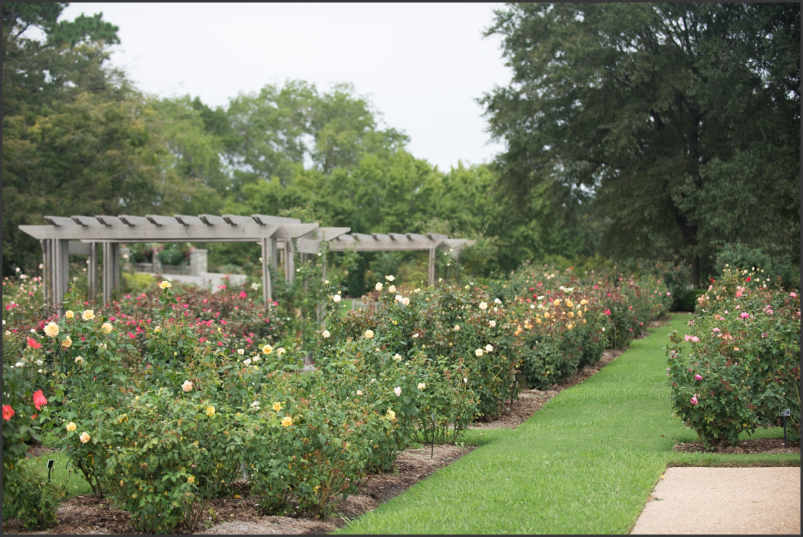 Norfolk Botanical Gardens Rose Garden-103_WEB.jpg