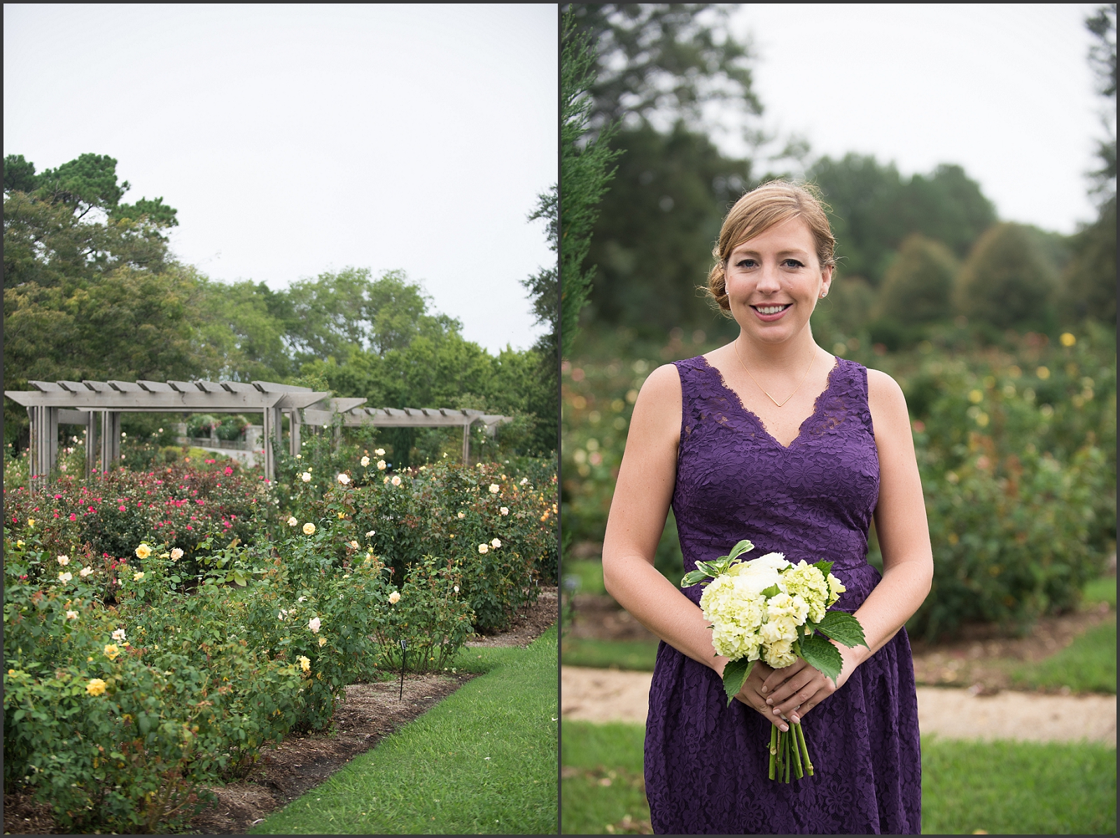 Norfolk Botanical Gardens Rose Garden-104_WEB.jpg