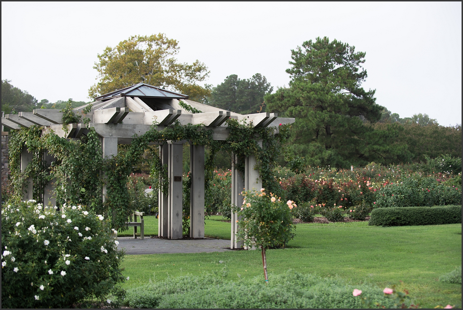Norfolk Botanical Gardens Rose Garden-107_WEB.jpg