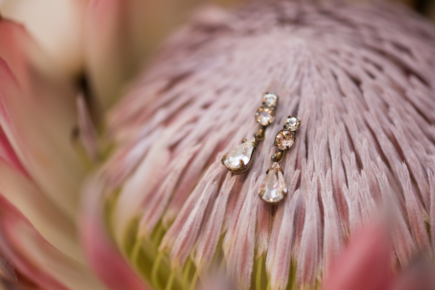 Rose Gold Wedding at Historic Post Office Virginia Harry Potter Themed Wedding-113.JPG