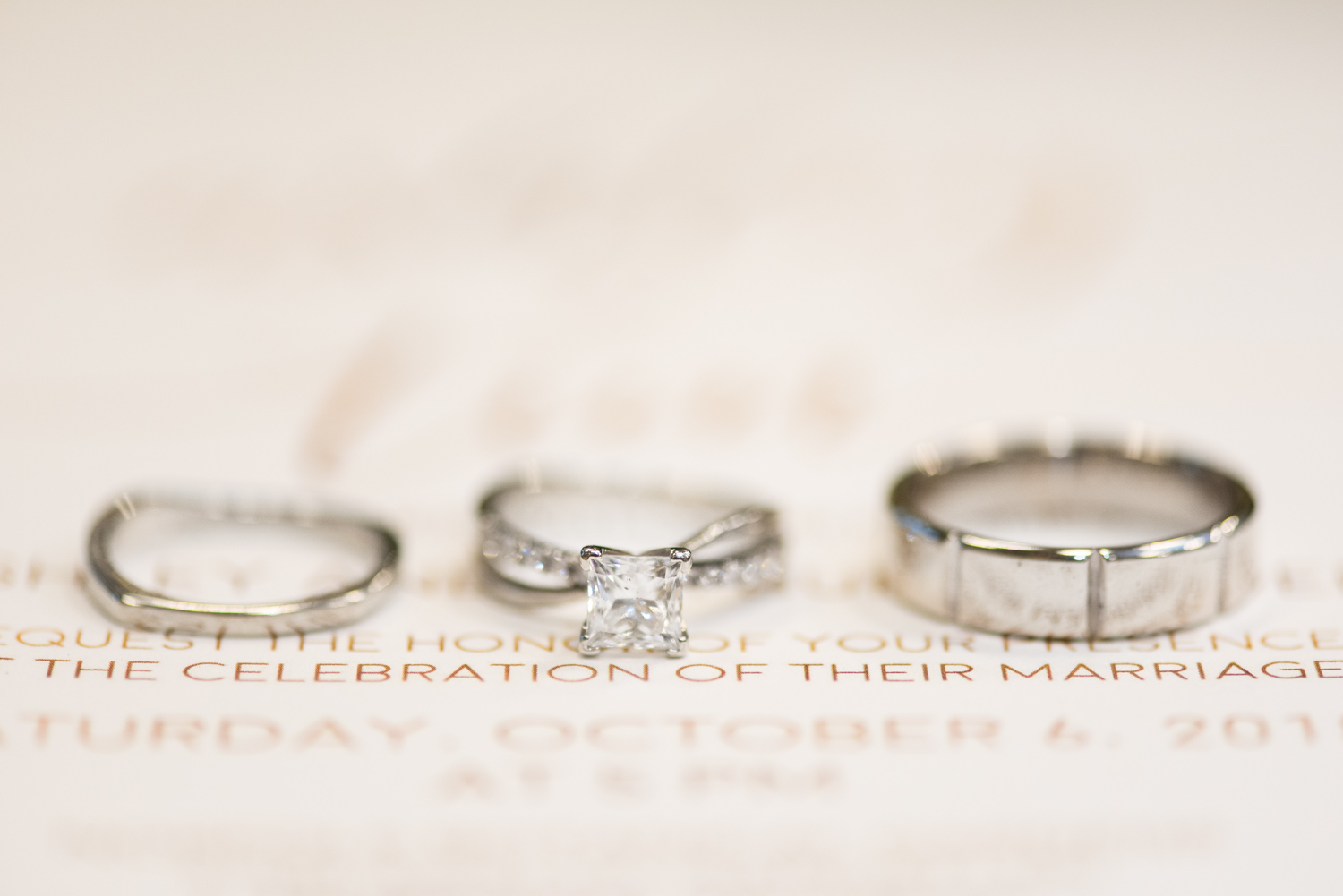 Fall Norfolk Botanical Garden Wedding at Renaissance Court-251.jpg