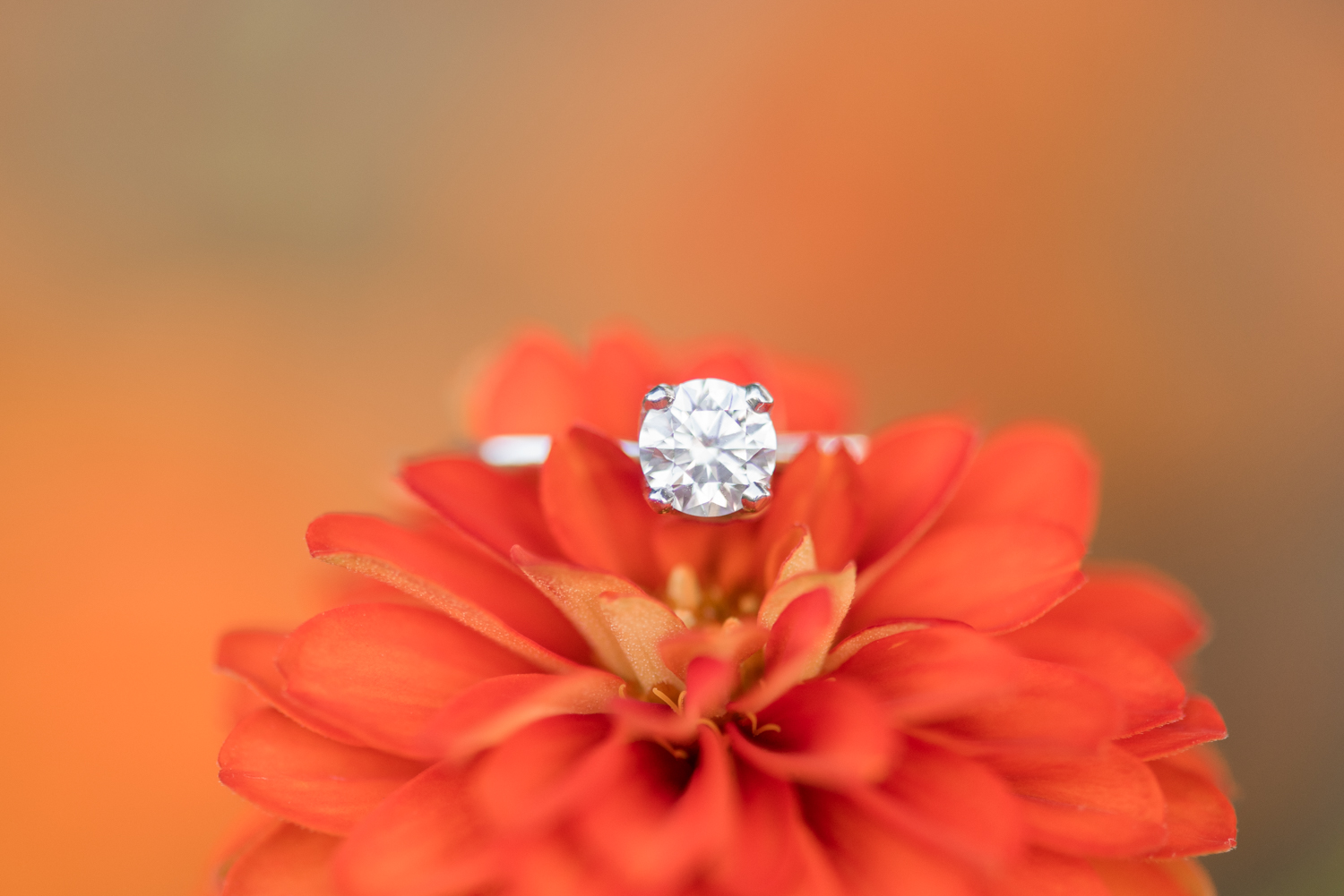 Colonial Williamsburg Engagement Session-301.jpg