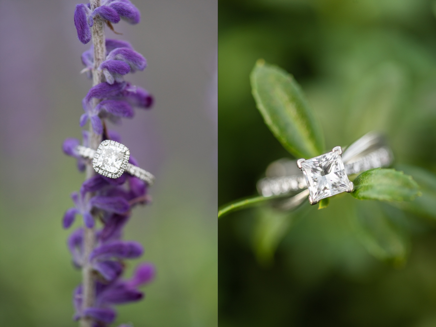 Fall Engagement Session at Norfolk Botanical Garden-102_WEB.jpg