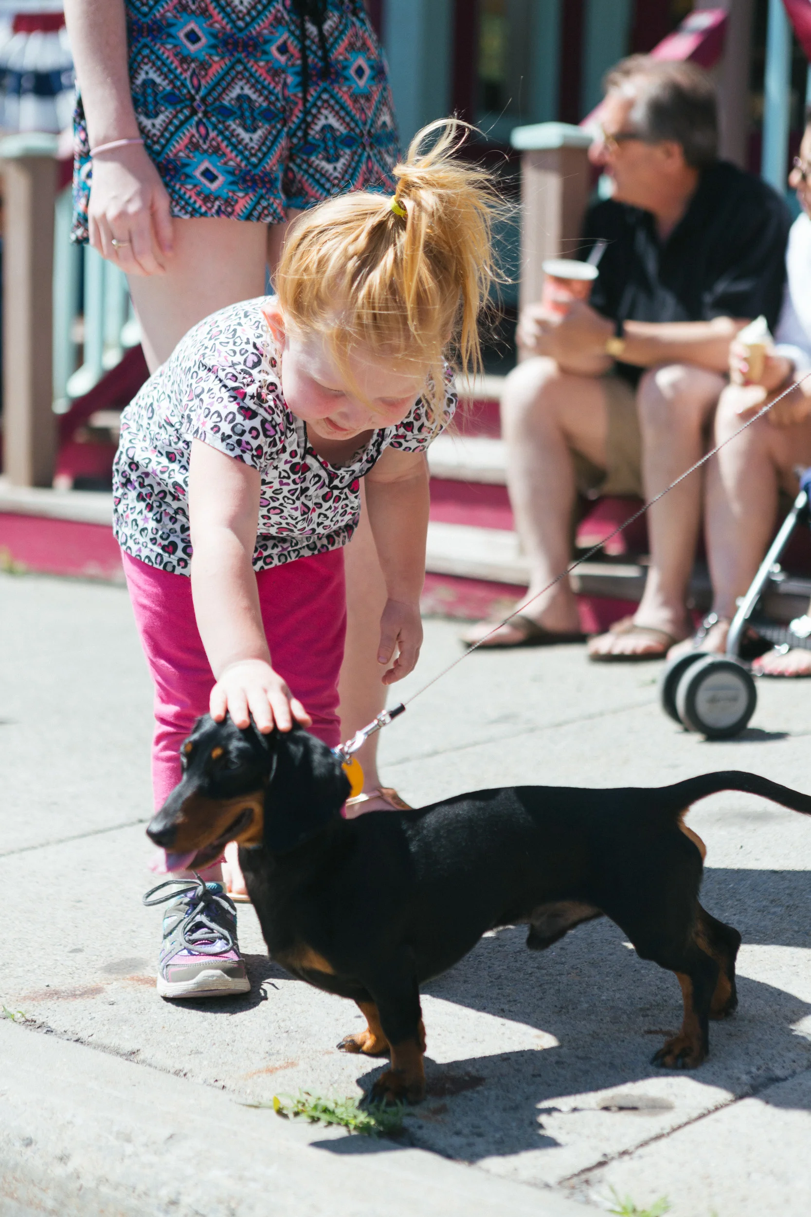 A toddler pets a puppy on Main Street in Tannersville.jpg