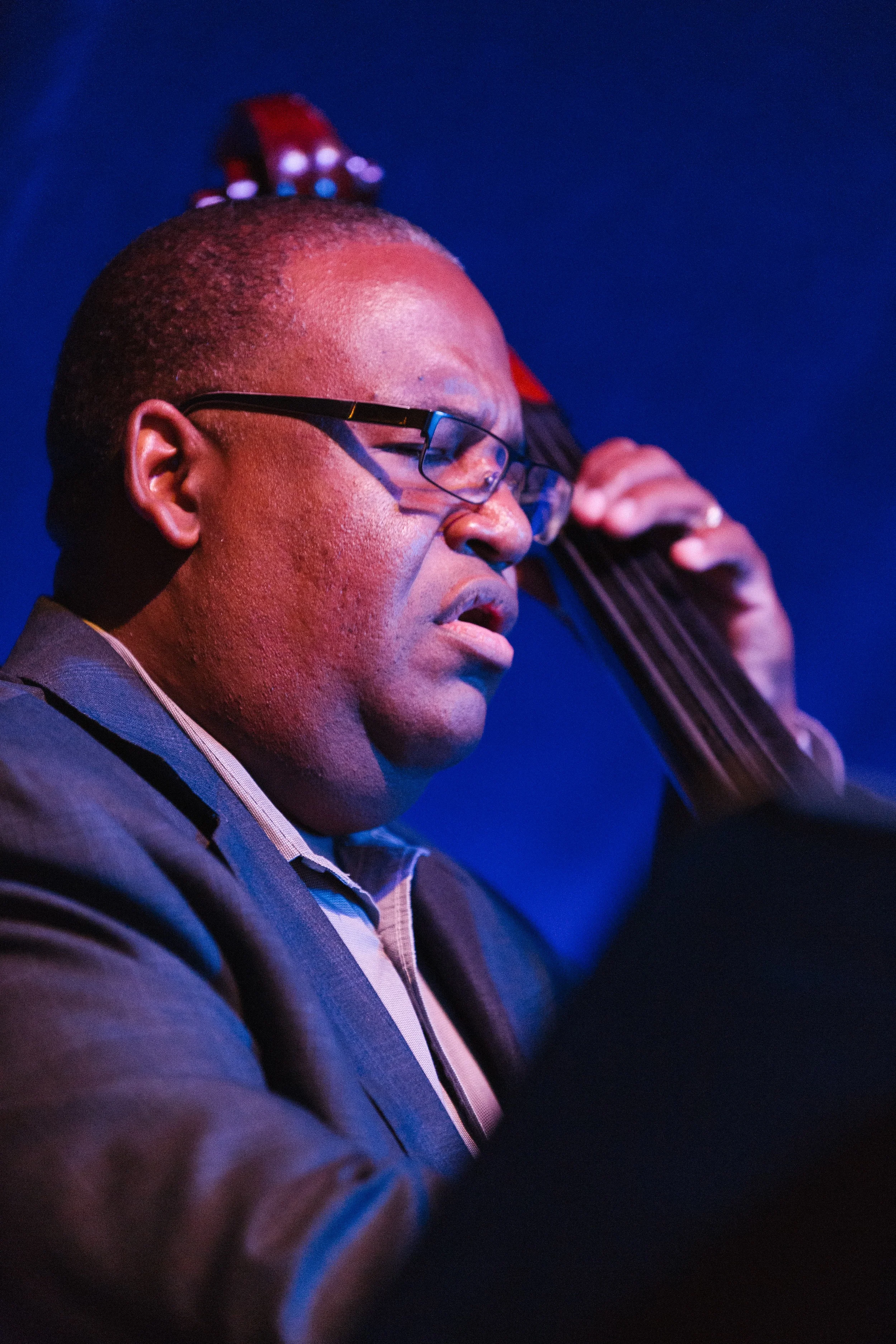 Bassist at the Bard Spiegeltent.jpg