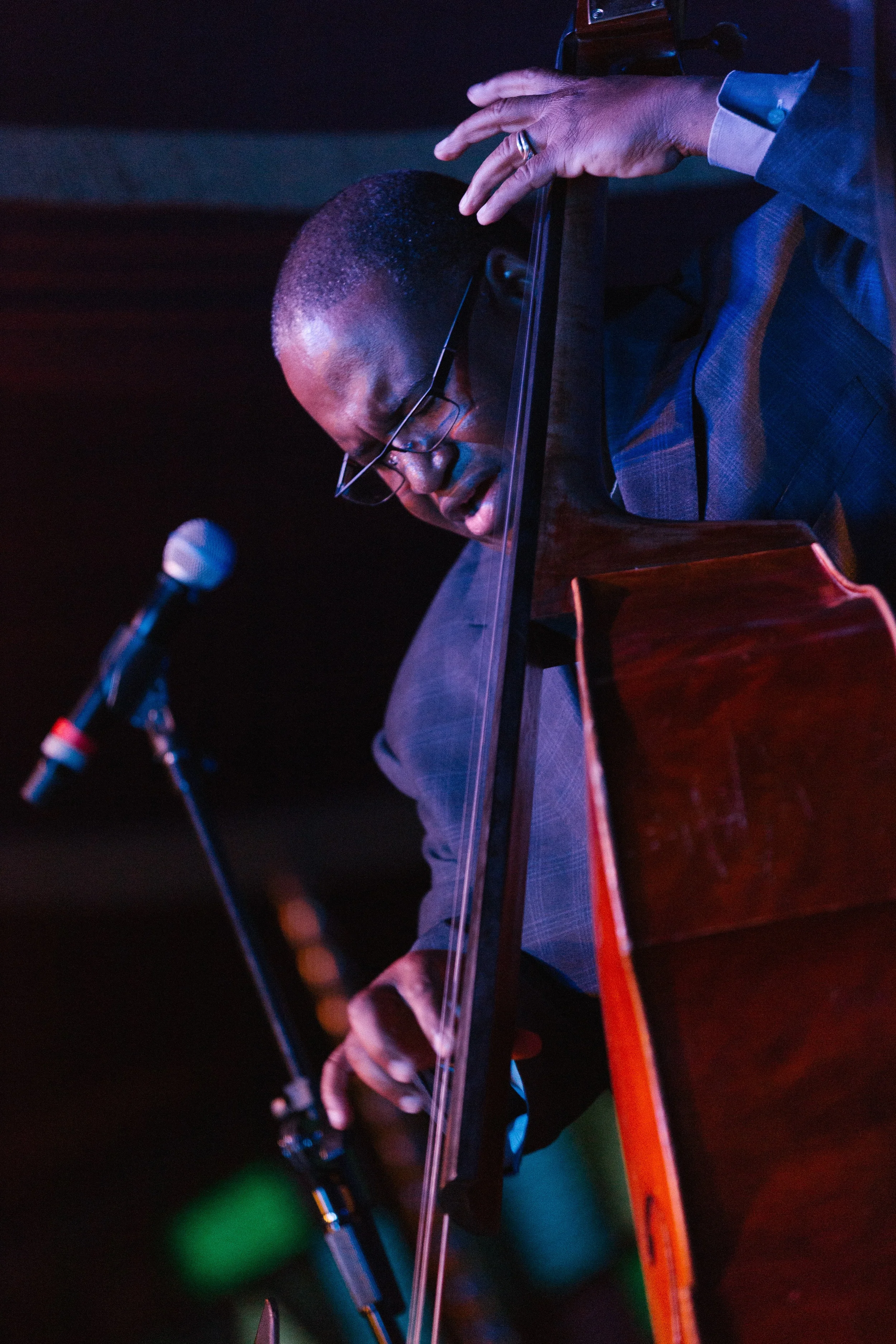 Bassist performs at the Bard Spiegeltent 2.jpg
