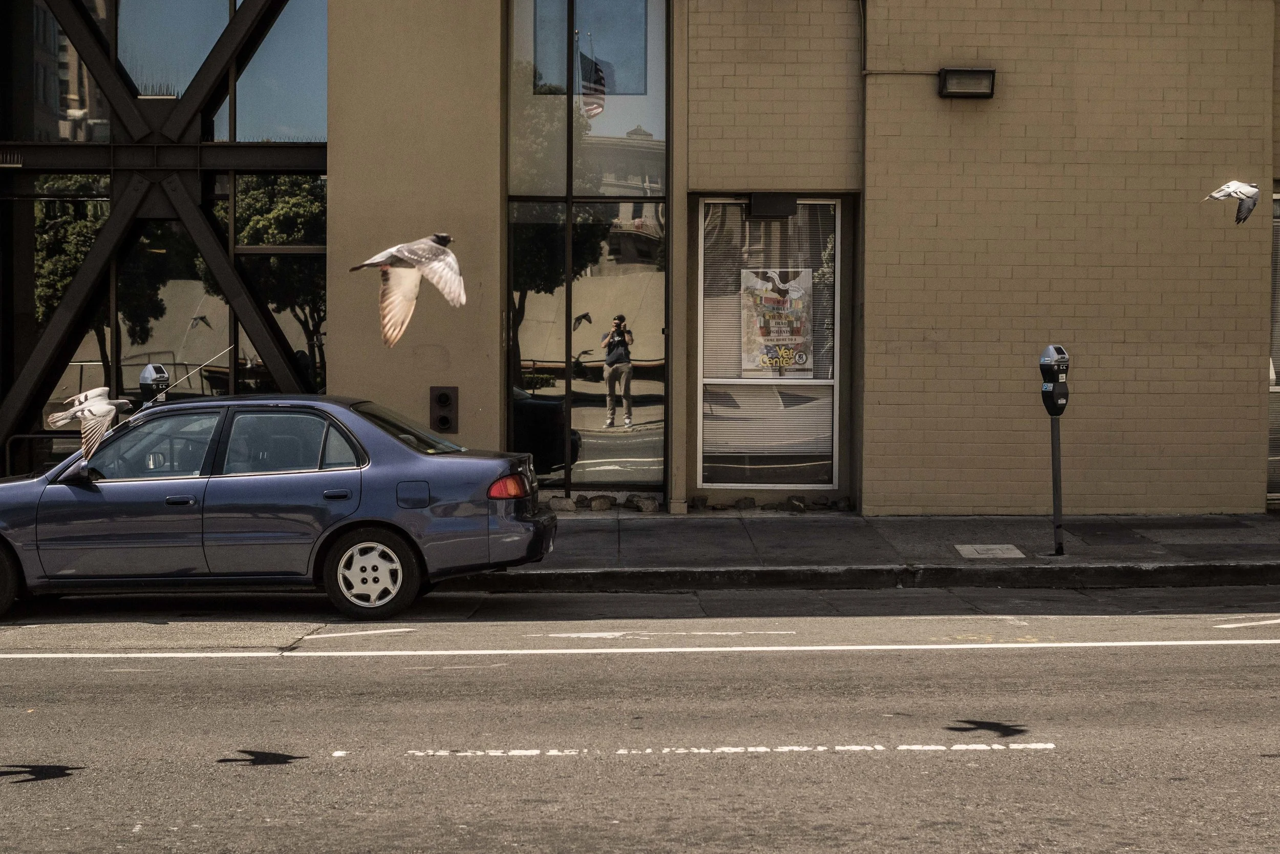 SF-Fillmore-ReflectionPigeonSelfie1-1.jpg