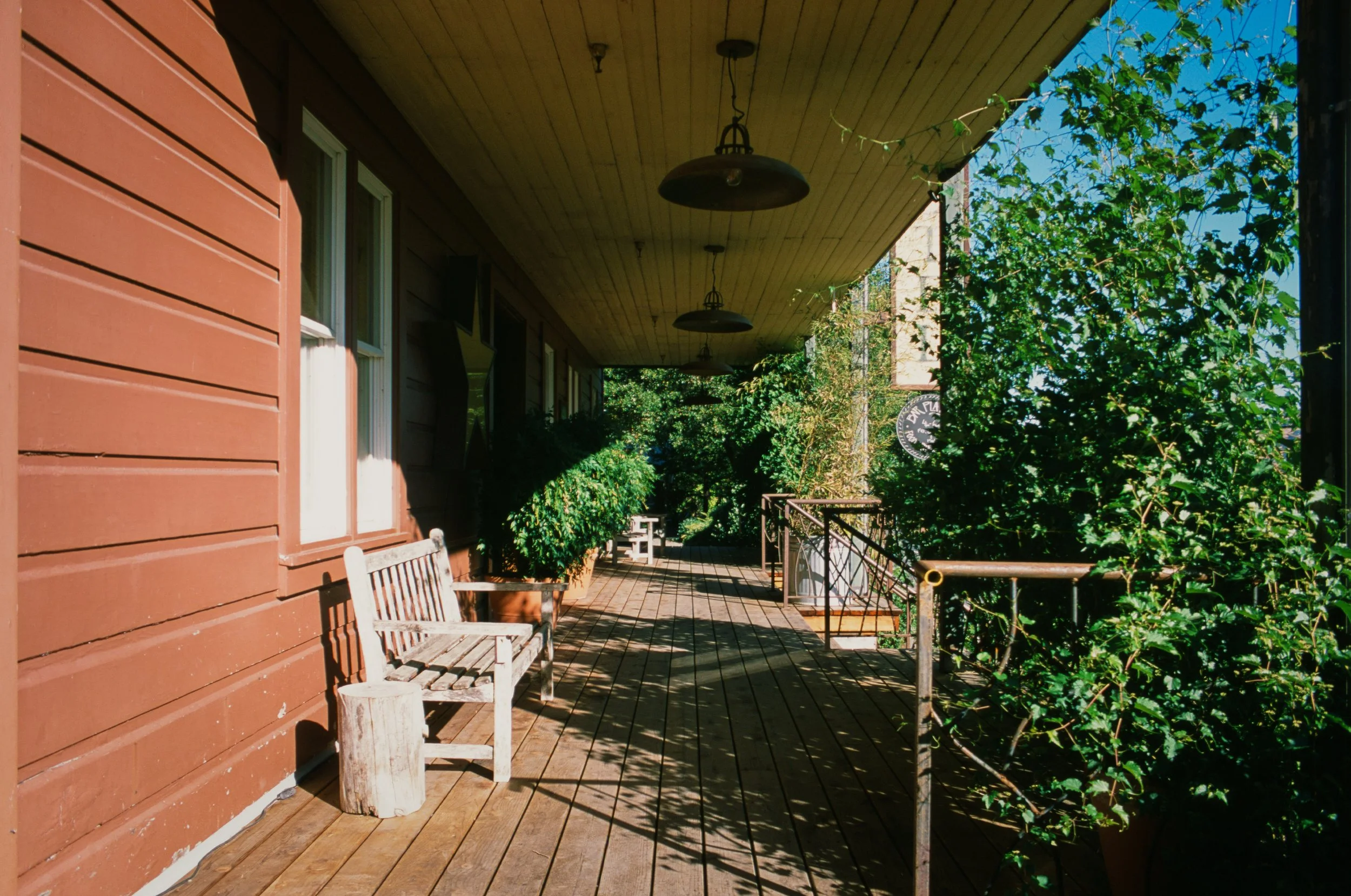 CA-RedwoodRoadTrip-Provia-000182210001.jpg