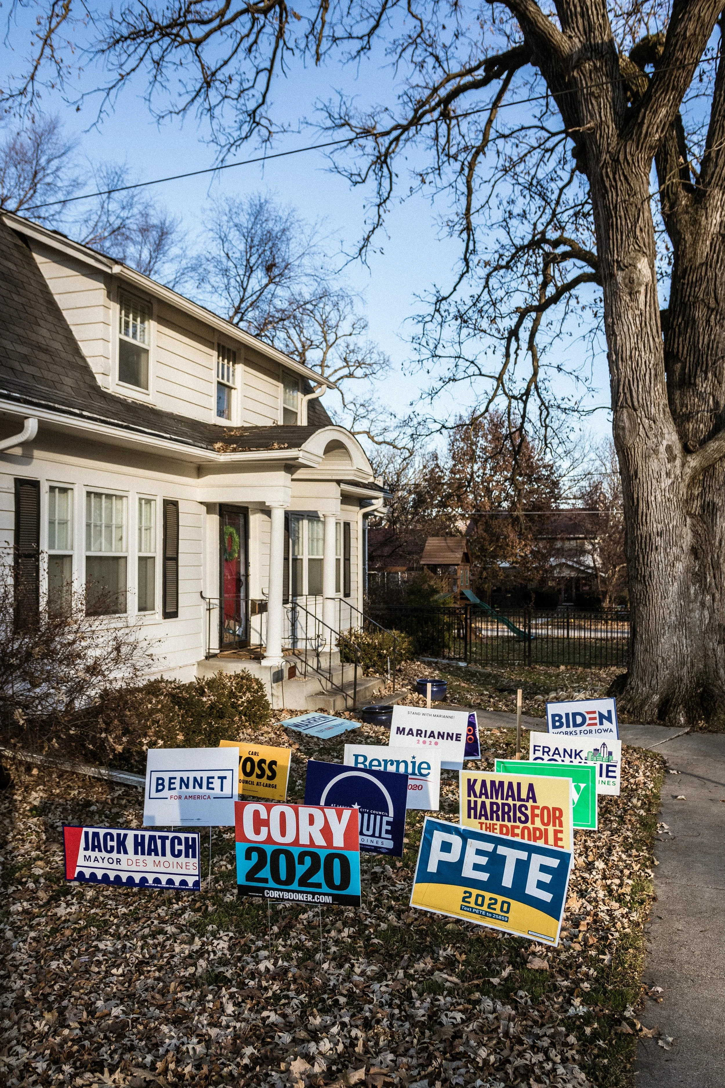 DSM-2020DemocratSignsWide2.jpg