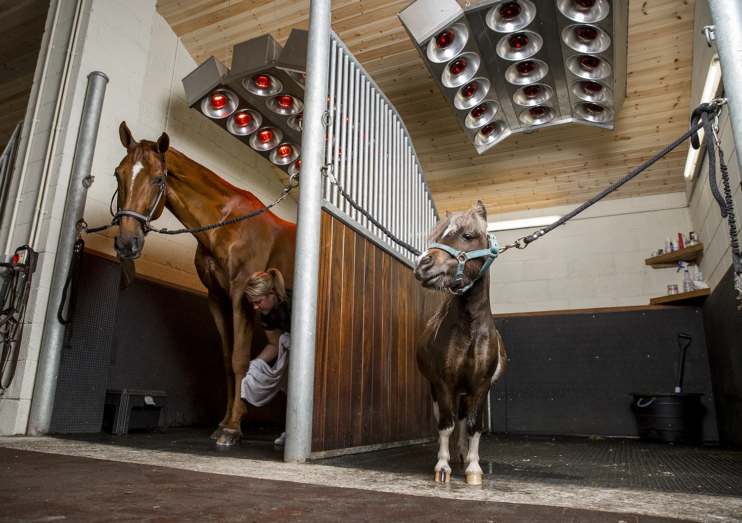 Poden Farms shoot.
Photo credit : Chris Winter