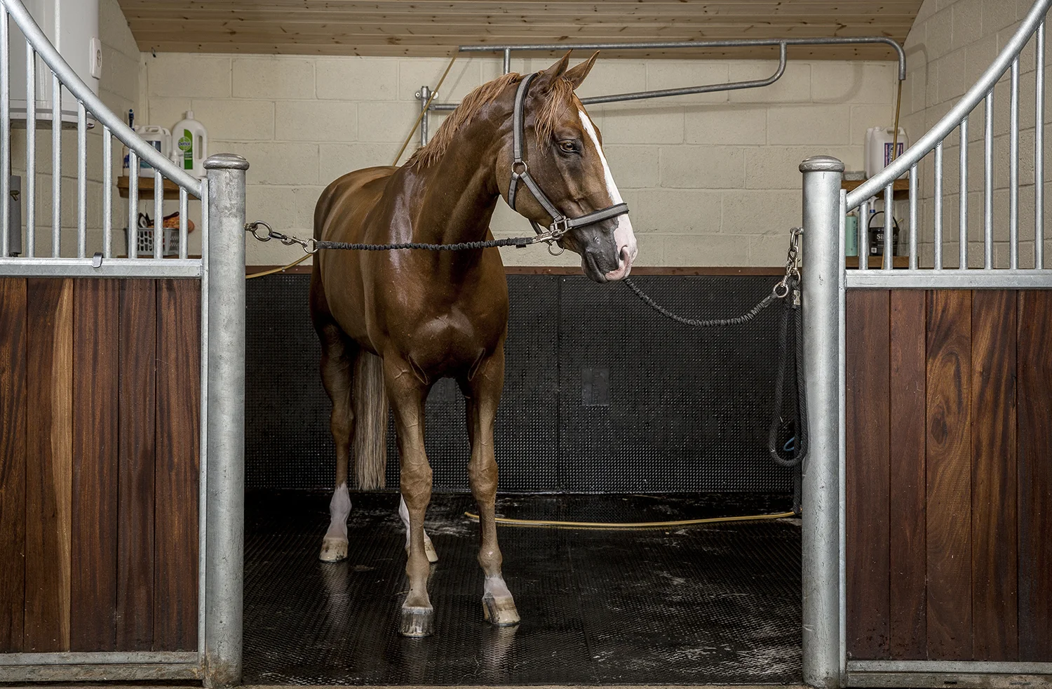 Poden Farms shoot.
Photo credit : Chris Winter