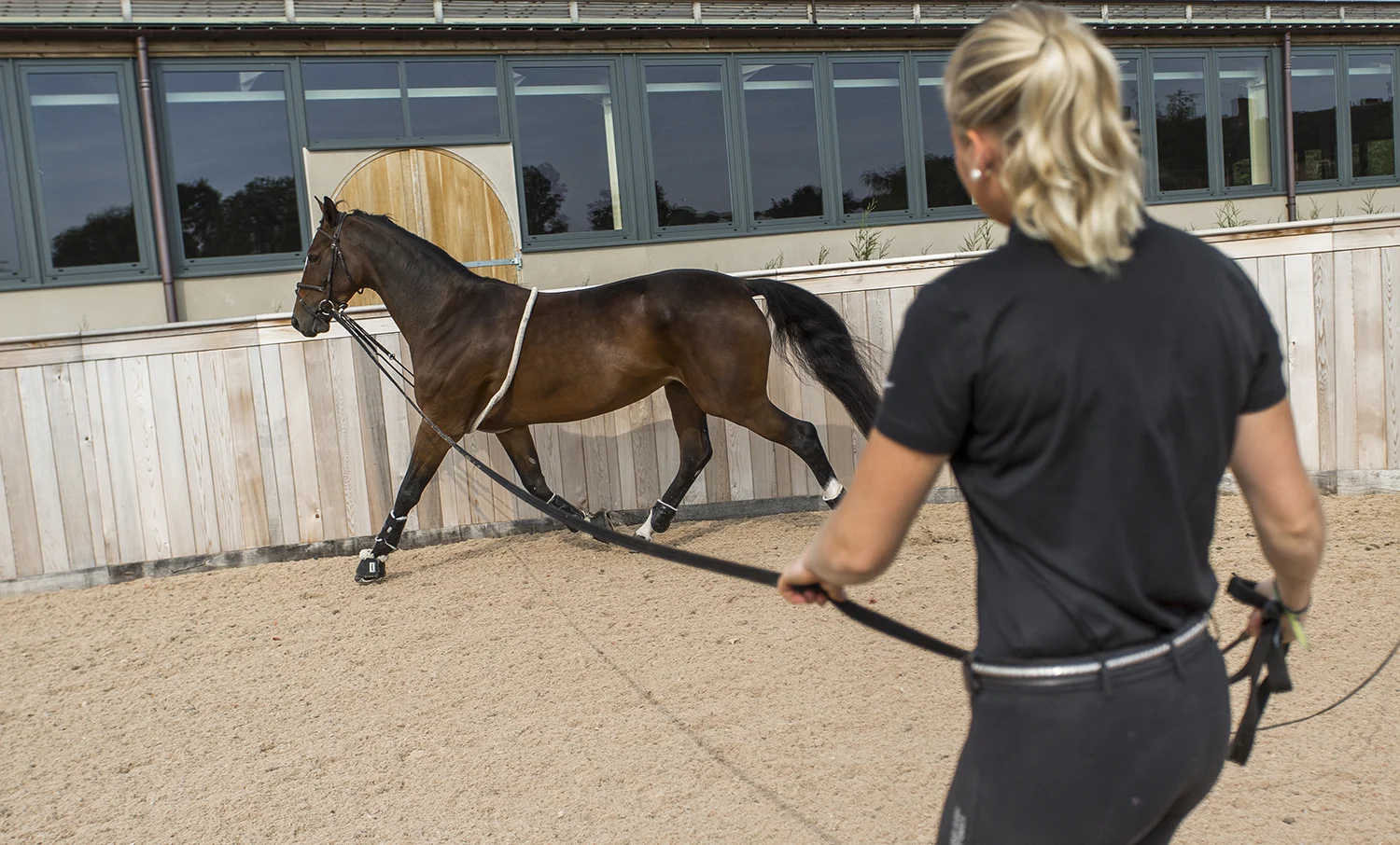 Poden Farms shoot.
Photo credit : Chris Winter
