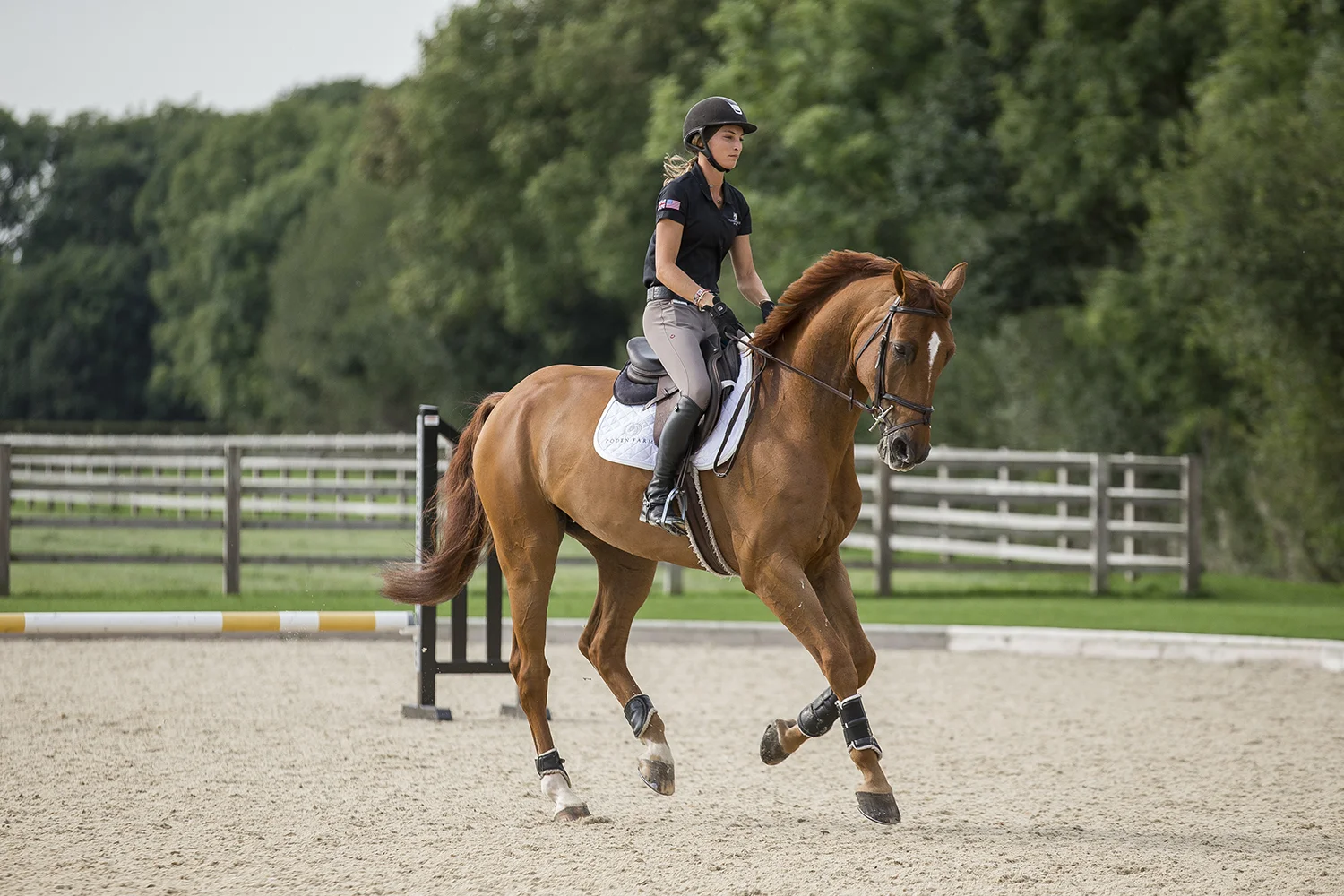 Poden Farms shoot.