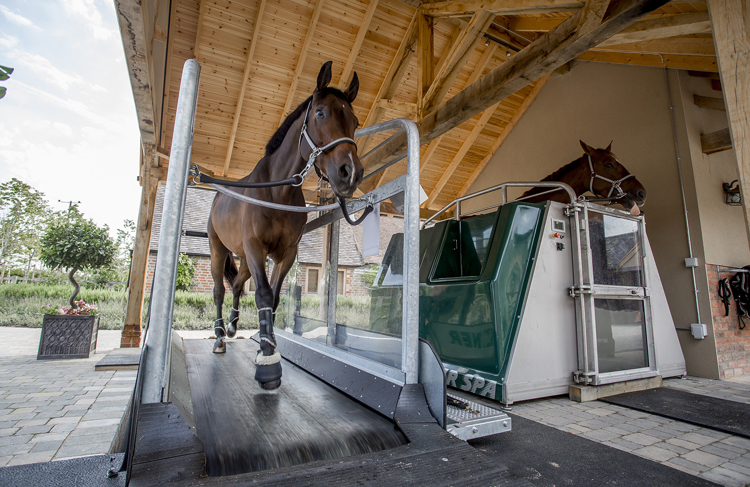 Poden Farms shoot.