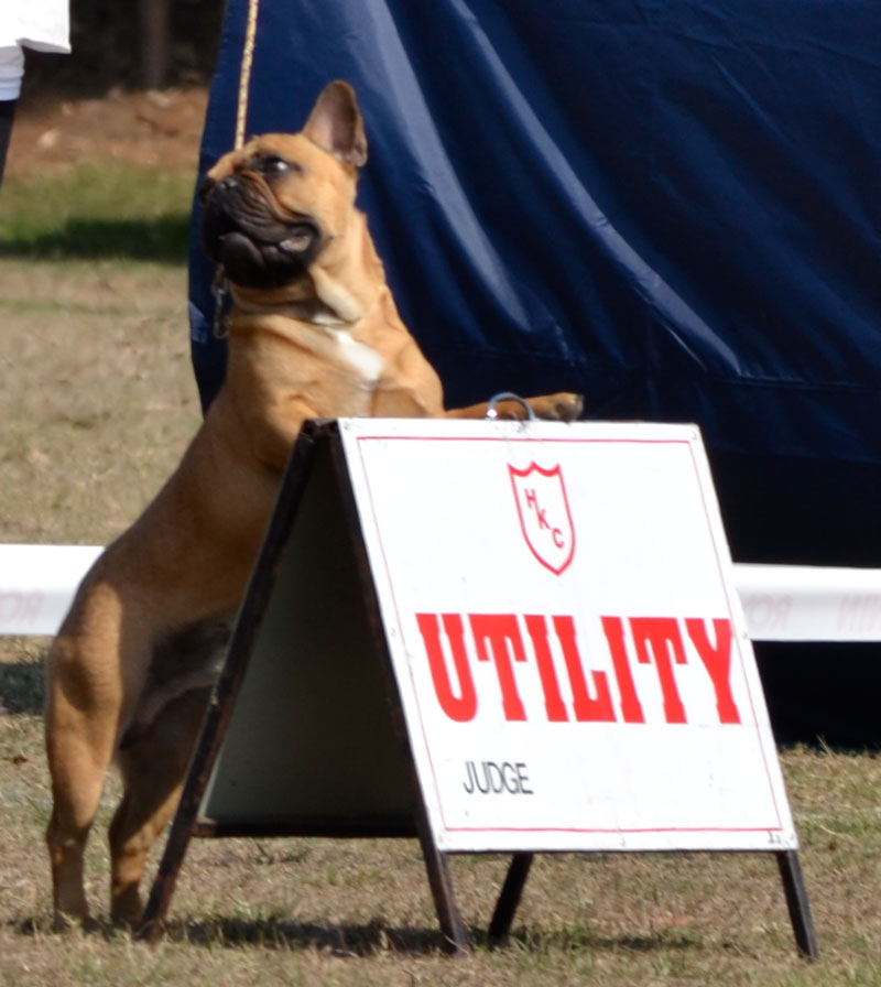 Mr Milo...New Utility Judge...lol