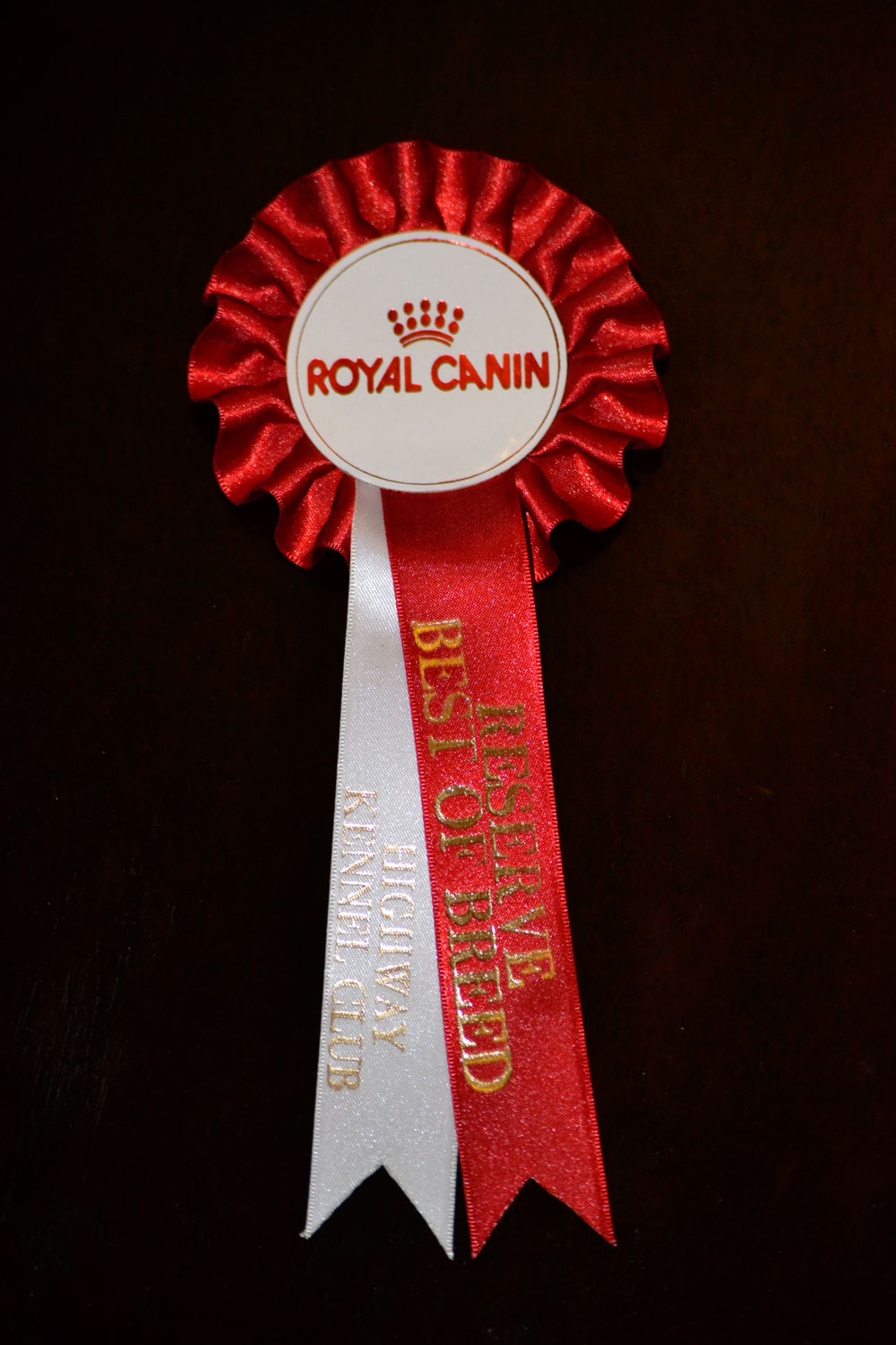 "Reserve Best Of Breed" for Katsja