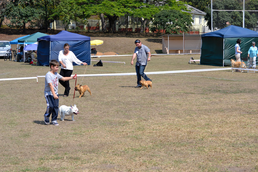 We made a family day of it 