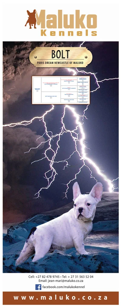 botl.jpg