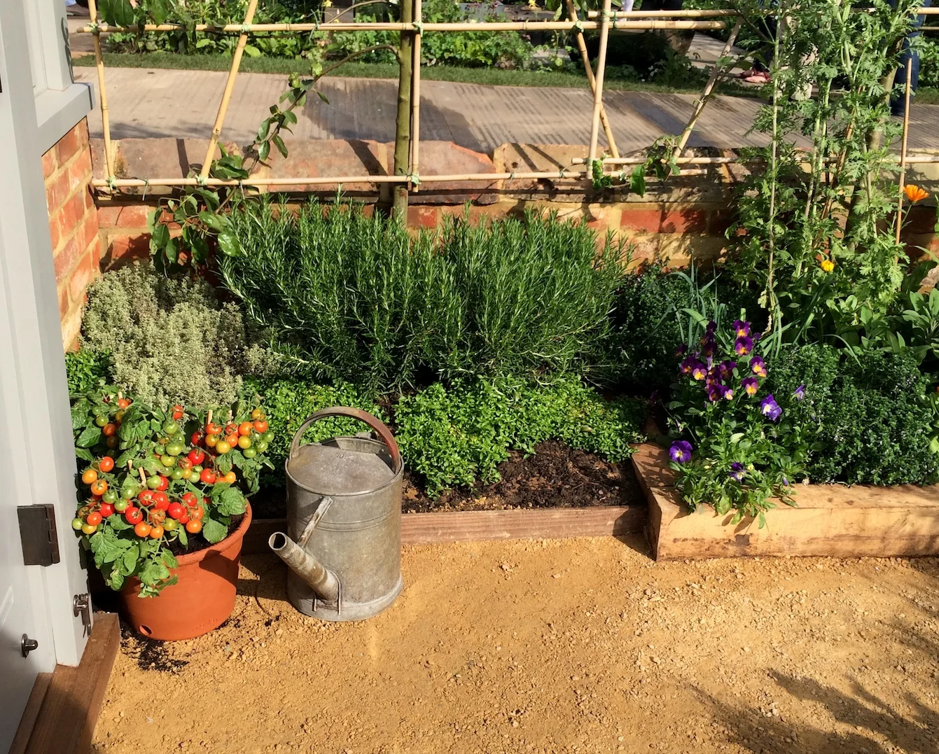 Herbs and cherry tomatoes