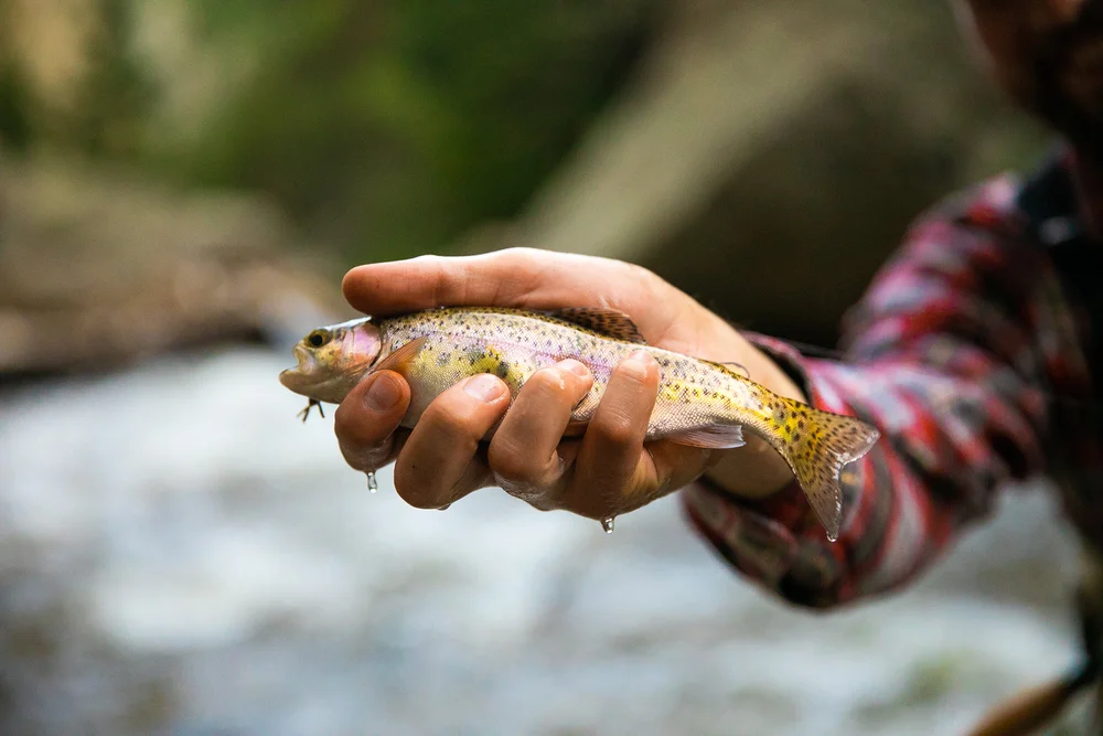 14er-FlyFishing-27.jpg