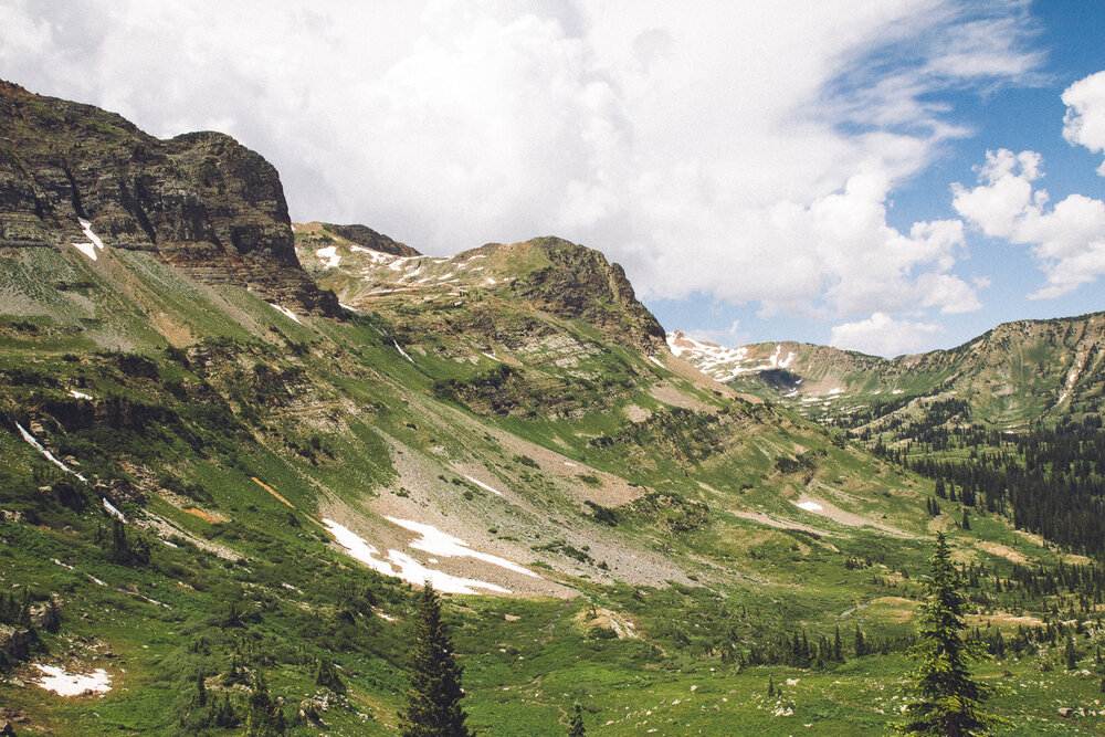 Colorado_CrestedButte_Canon_July17_443.jpg