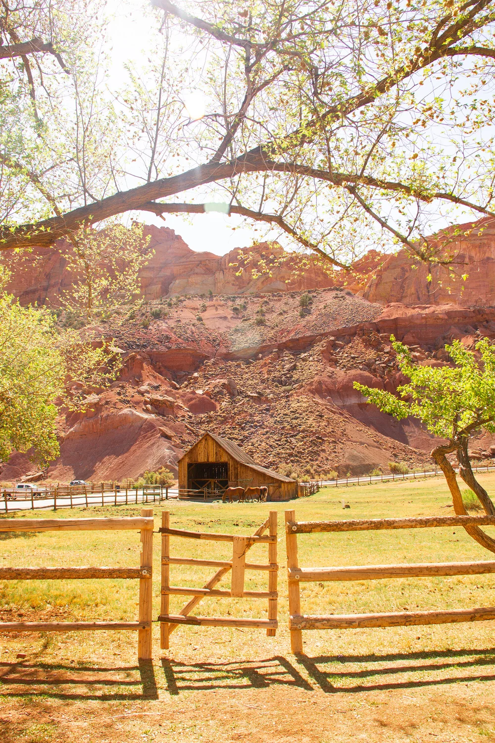 Mandarich-CapitolReef (9 of 79).JPG